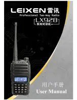 Leixen LX928 User Manual preview