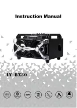 Предварительный просмотр 1 страницы Leiyon LY-BX30 Instruction Manual