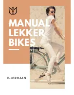 Lekker Bikes E-JORDAAN Manual preview