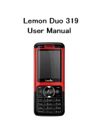 Lemon DUO 319 User Manual preview