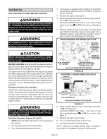 Предварительный просмотр 31 страницы Lennox G60DFVX Series Installation Instructions Manual