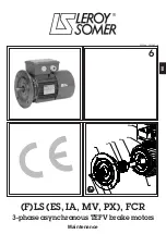 Предварительный просмотр 1 страницы Leroy-Somer FLS 100 FCR Maintenance Manual