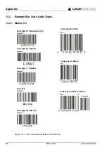 Предварительный просмотр 82 страницы Leuze electronic BCL 21 Technical Description