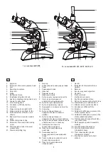 Preview for 2 page of Levenhuk 73992 User Manual