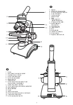 Preview for 2 page of Levenhuk 77988 User Manual