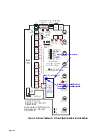 Предварительный просмотр 178 страницы Leviton EZ-MAX User Manual