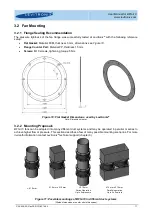 Предварительный просмотр 11 страницы Levitronix BFS-i10 User Manual