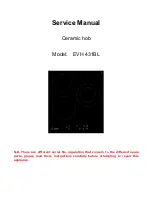 Preview for 1 page of Lex EVH 431BL Service Manual