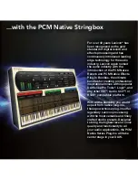 Preview for 3 page of Lexicon PCM NATIVE STRINGBOX Owner'S Manual