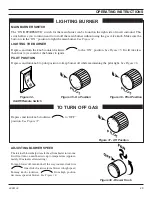 Предварительный просмотр 29 страницы Lexington Forge ASHTON AI42DV Installation And Operating Instructions Manual