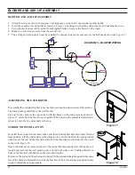 Предварительный просмотр 10 страницы Lexington Forge SSI30 Owner'S Manual