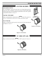 Предварительный просмотр 31 страницы Lexington Forge STRATFORD SS38DV Installation And Operating Instructions Manual