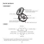 Предварительный просмотр 149 страницы LG TONE Free HBS-FN4 User Manual