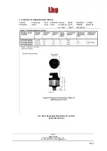 Предварительный просмотр 45 страницы LHG LHG-ICL 10 HP Operation And Maintenance Manual