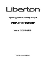 Liberton LED 4268 AB3D User Manual preview