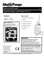 Предварительный просмотр 41 страницы Liberty Pumps PRG102M-3E Owner'S Manual