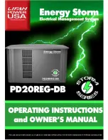 Lifan Energy Storm PD20REG-DB Owner'S Manual preview