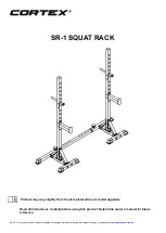 LifeSpan CORTEX SR-1 Owner'S Manual preview