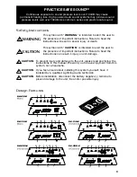 Предварительный просмотр 3 страницы Lightning Audio Bolt B2.150.2 User Manual