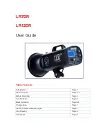 Lightrein LR12DR User Manual preview