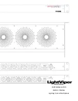 LightViper DMX40 User Manual preview