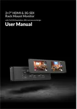 Liliput RM-7029S User Manual preview