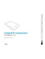 lilitab M Pro Head Unit Assembly Instructions предпросмотр