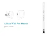 lilitab Wall Pro Assembly Instructions preview