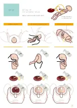 Предварительный просмотр 7 страницы Limbs & Things 80100 User Manual