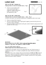 Preview for 6 page of Lincar 138 Aurora Using Instructions And Maintenance