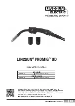 Preview for 1 page of Lincoln Electric LINCGUN PROMIG 300 UD 4M Manual