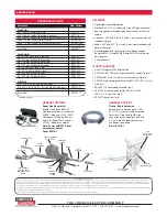 Предварительный просмотр 2 страницы Lincoln Electric MAGNUM 250 LX Technical Specifications