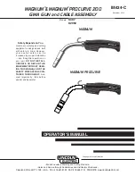 Lincoln Electric MAGNUM &MAGNUM PROCURVE 200 K2950 Operator'S Manual preview