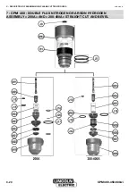 Предварительный просмотр 24 страницы Lincoln Electric NERTAJET CPM 400 Safety Instruction For Use And Maintenance