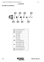 Предварительный просмотр 40 страницы Lincoln Electric NERTAJET CPM 400 Safety Instruction For Use And Maintenance