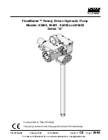 Предварительный просмотр 1 страницы Lincoln industrial FlowMaster 85480 Manual