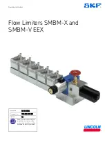 Lincoln SKF SMBM-V EEX Operating Instructions Manual preview