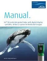 Linde LIV IQ Manual предпросмотр