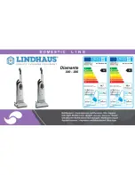 Preview for 1 page of Lindhaus Diamante 300 Owners Manual And Parts Manual