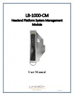 Lindsay Broadband LB-1000-CM User Manual предпросмотр