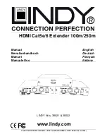 Lindy 38021 User Manual предпросмотр