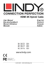 Lindy 38175 User Manual preview