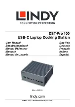 Lindy 43351 User Manual preview