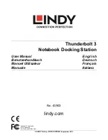 Preview for 1 page of Lindy 43903 User Manual