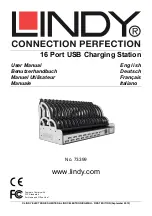 Lindy 73399 User Manual preview