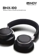 Lindy BNX-100 Manual предпросмотр