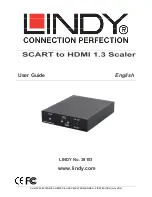 Lindy SCART to HDMI 1.3 HD Scaler User Manual preview