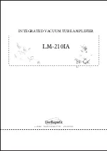 Preview for 1 page of Line Magnetic LM-210IA Manual