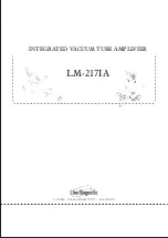 Line Magnetic LM-217IA Manual предпросмотр