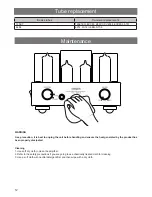 Предварительный просмотр 12 страницы Line Magnetic LM-MINI-84IA Owner'S Manual